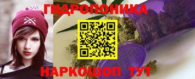 дурь Жуковский
