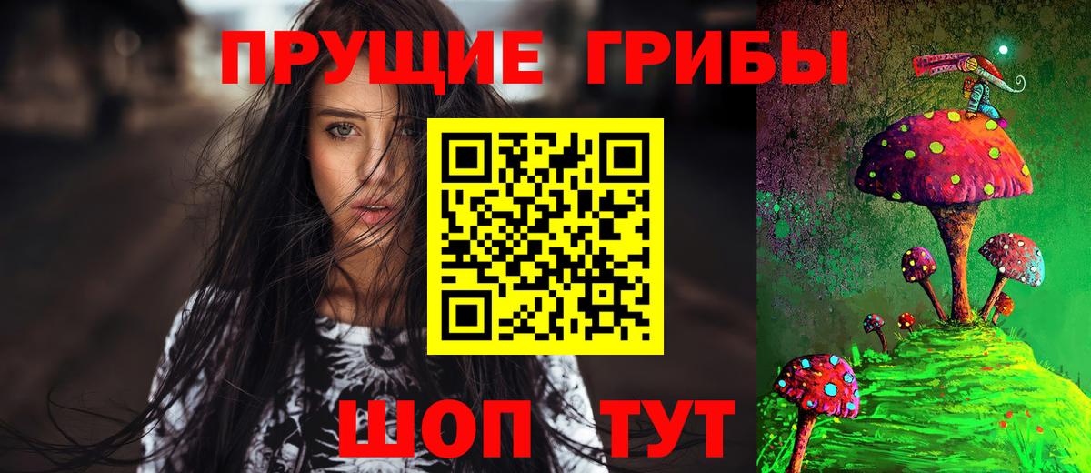 Псилоцибиновые грибы Psilocybe Ярцево